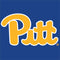 University of Pittsburgh Pitt Panthers PS5 Controller Skin